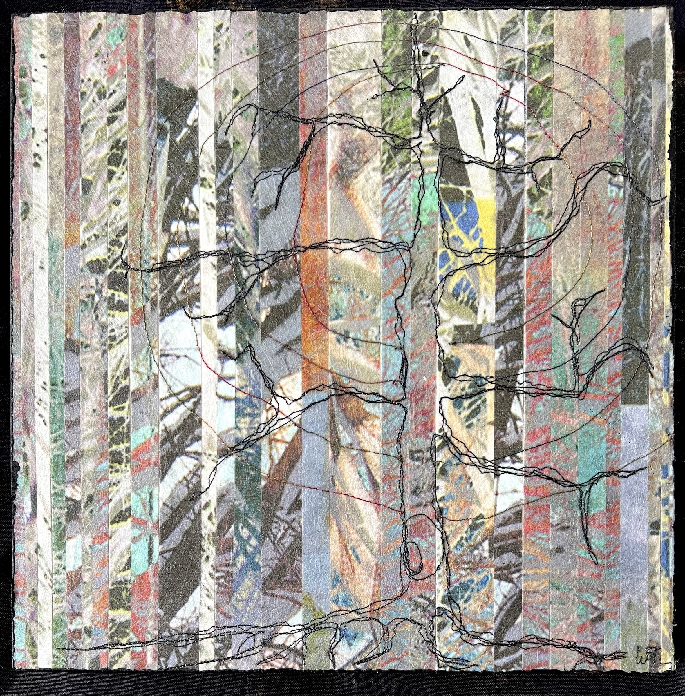 The Content of the Light