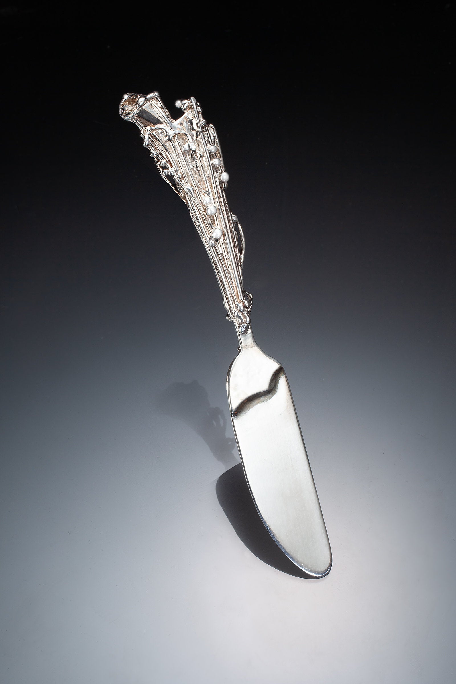 Photo by Ralph Gabriner