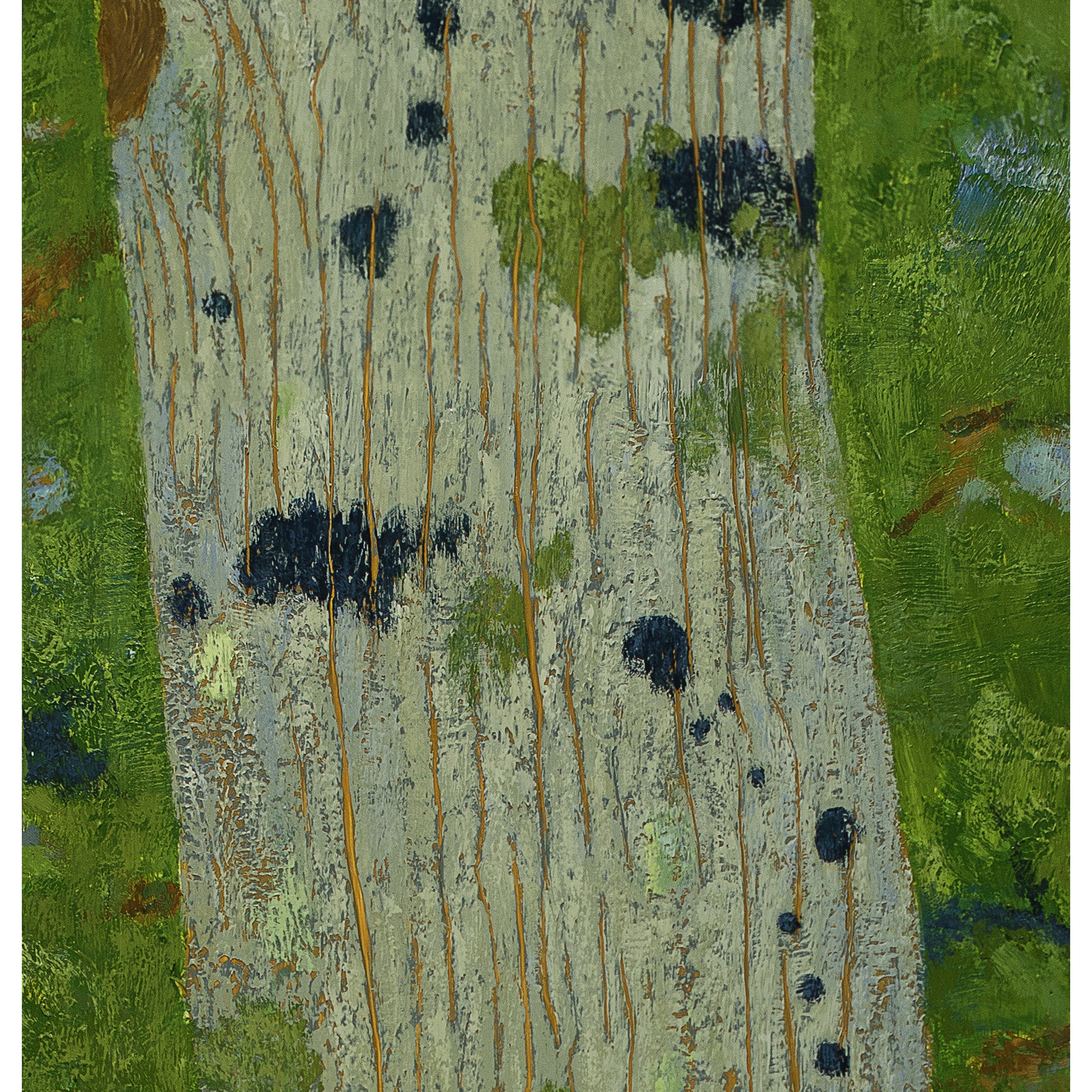 Blue Lichen, Eastern Hemlock