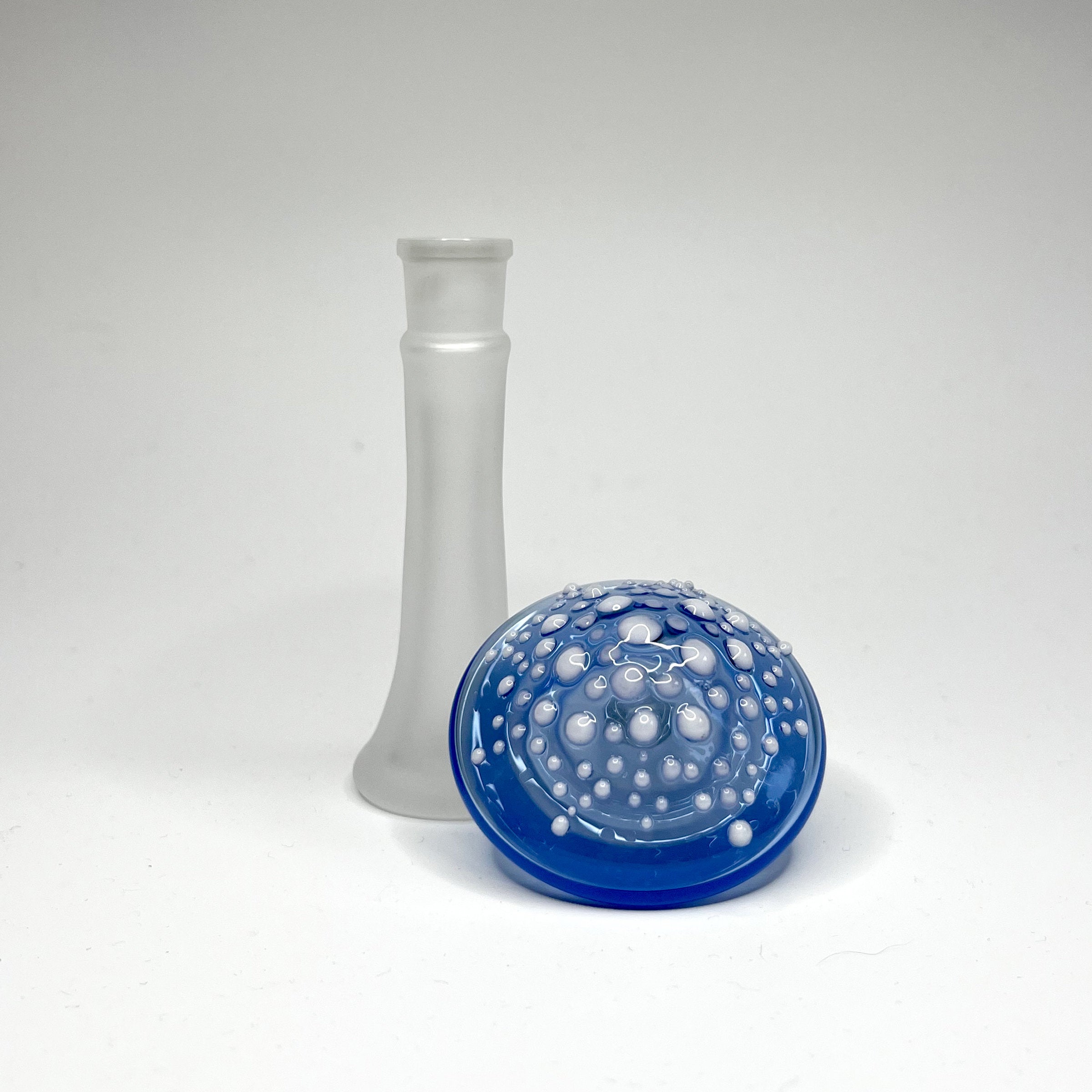 Bluecap Mushroom Bottle