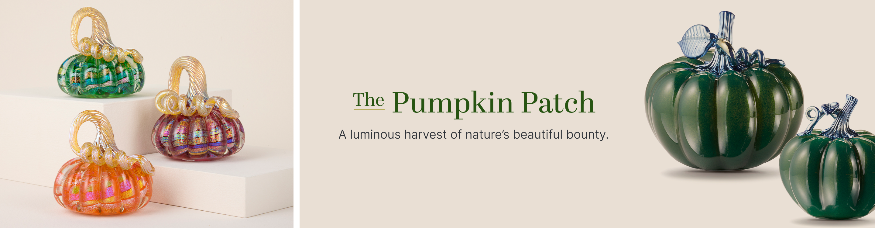 Pumpkins & Gourds