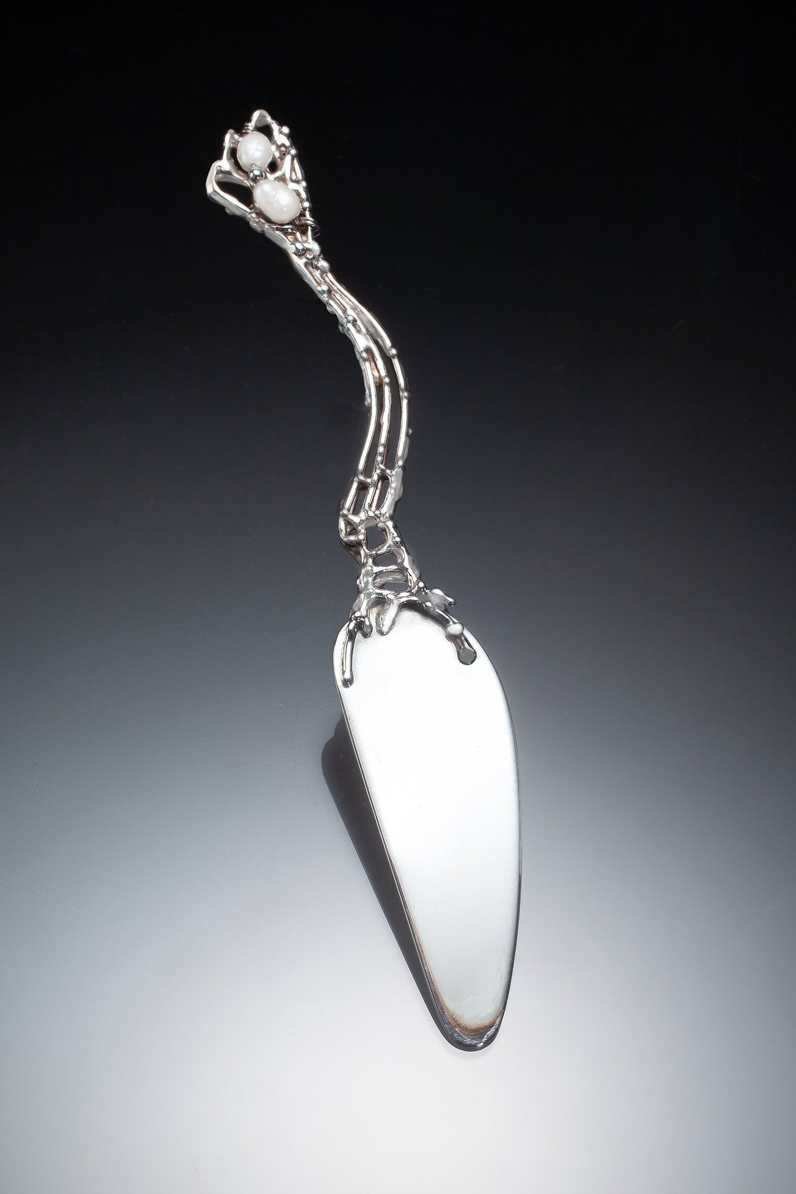 Photo by Ralph Gabriner