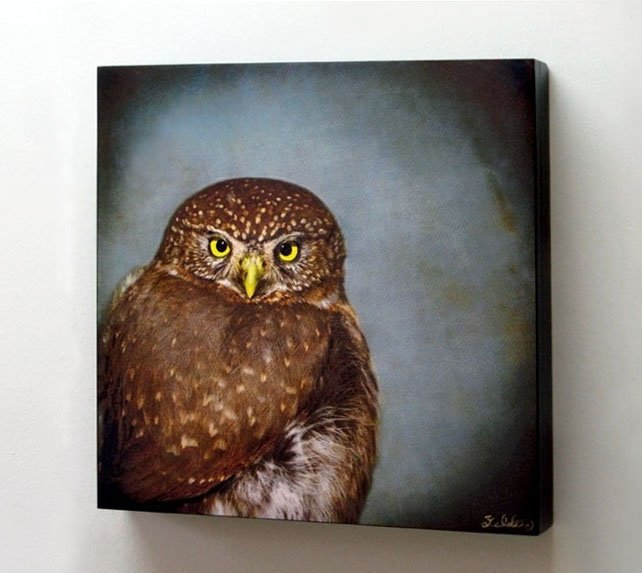 Song of a Northern Pygmy Owl II