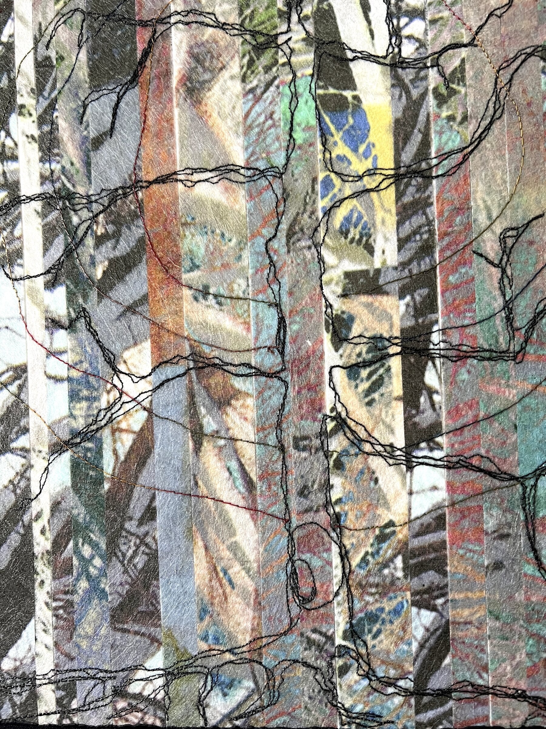 The Content of the Light