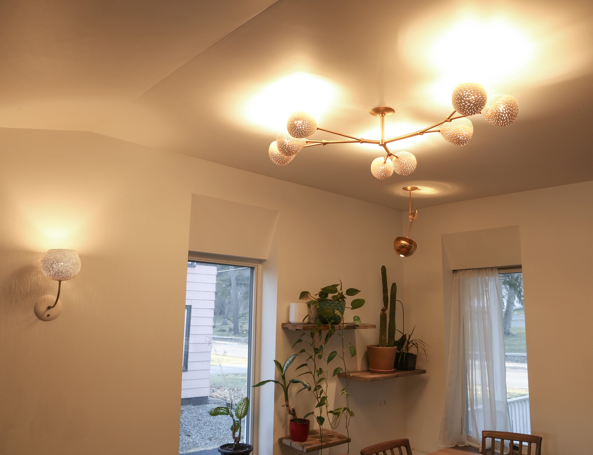 ClayLight Vine with Eight Shades
