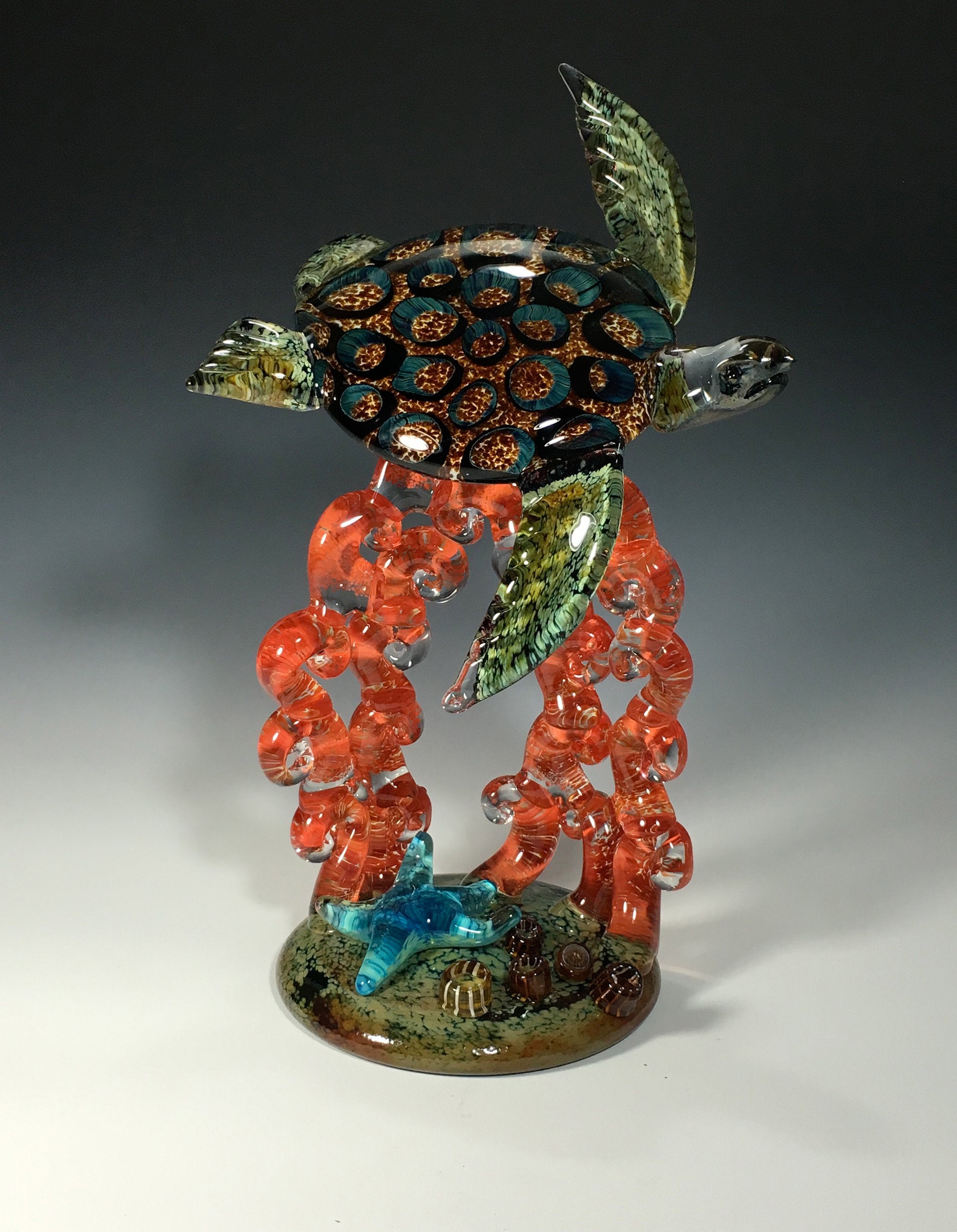Amber Barnacle Turtle on Red Coral with Starfish