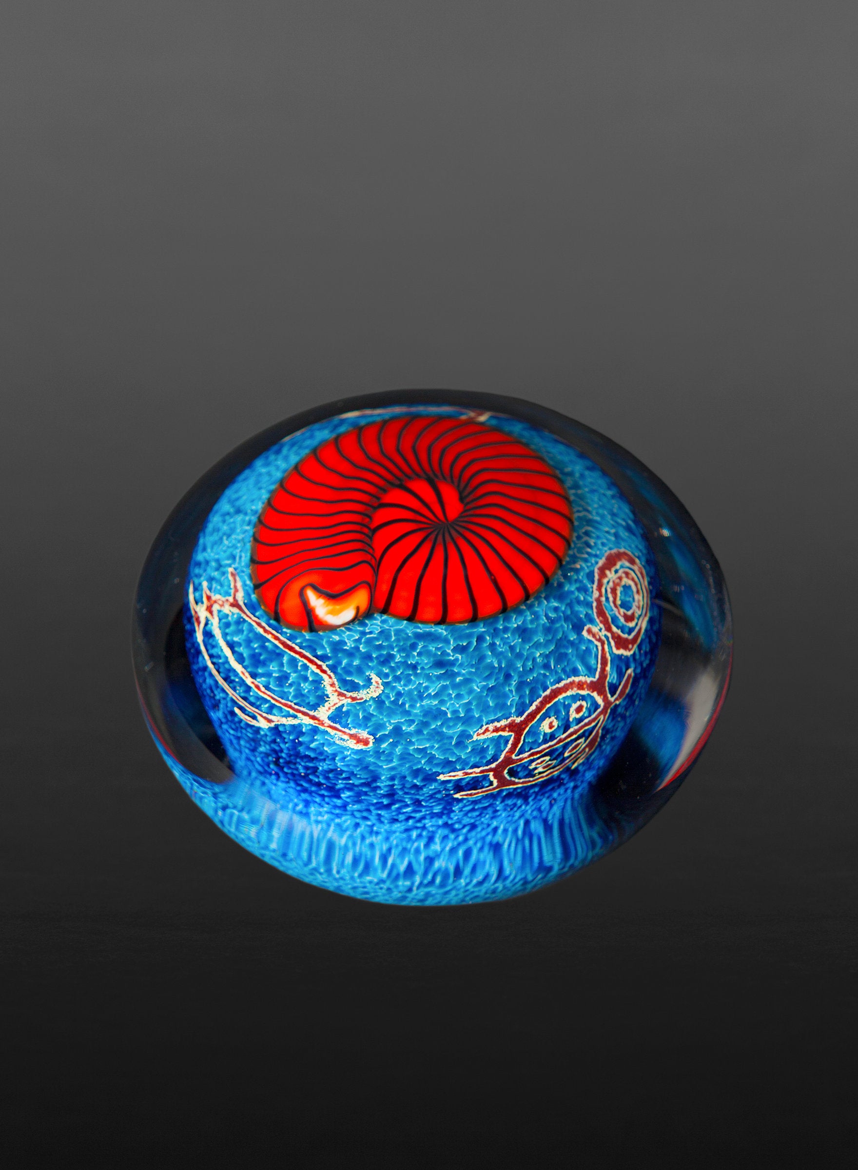 Red Nautilus on Sapphire Paperweight