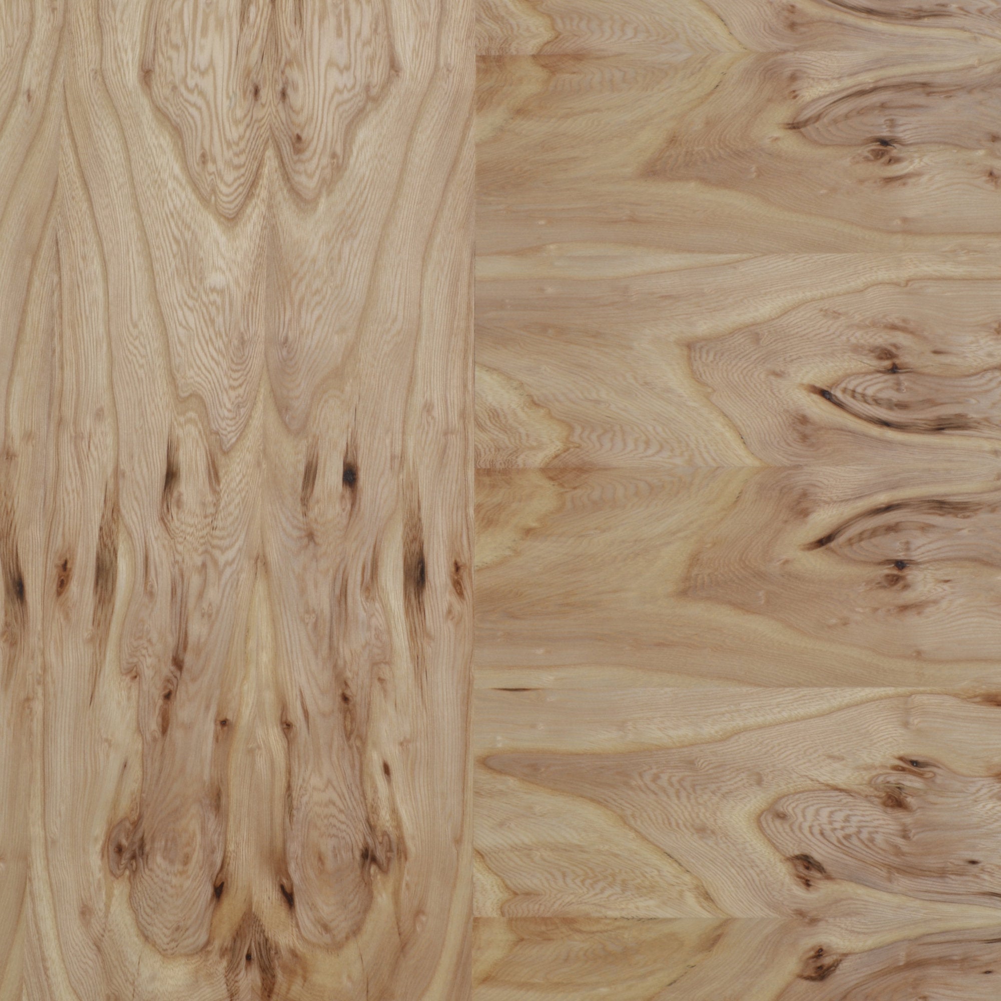 rustic elm