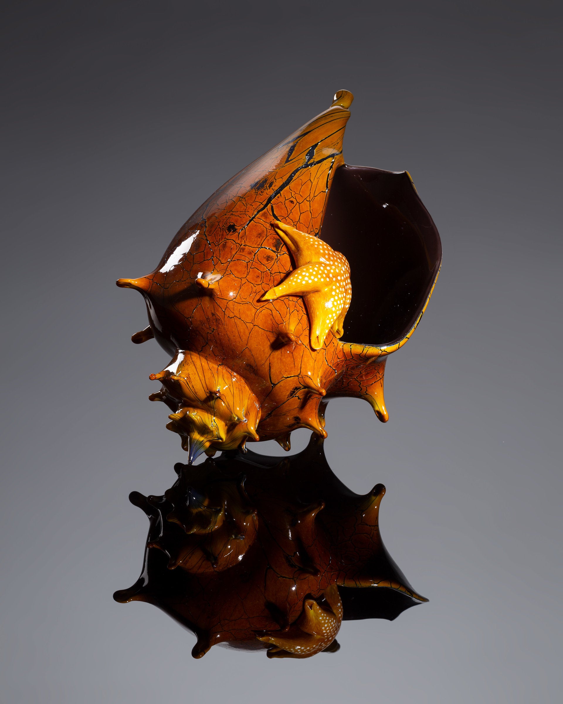 Fancy Crackle Conch Shell with Sea Star