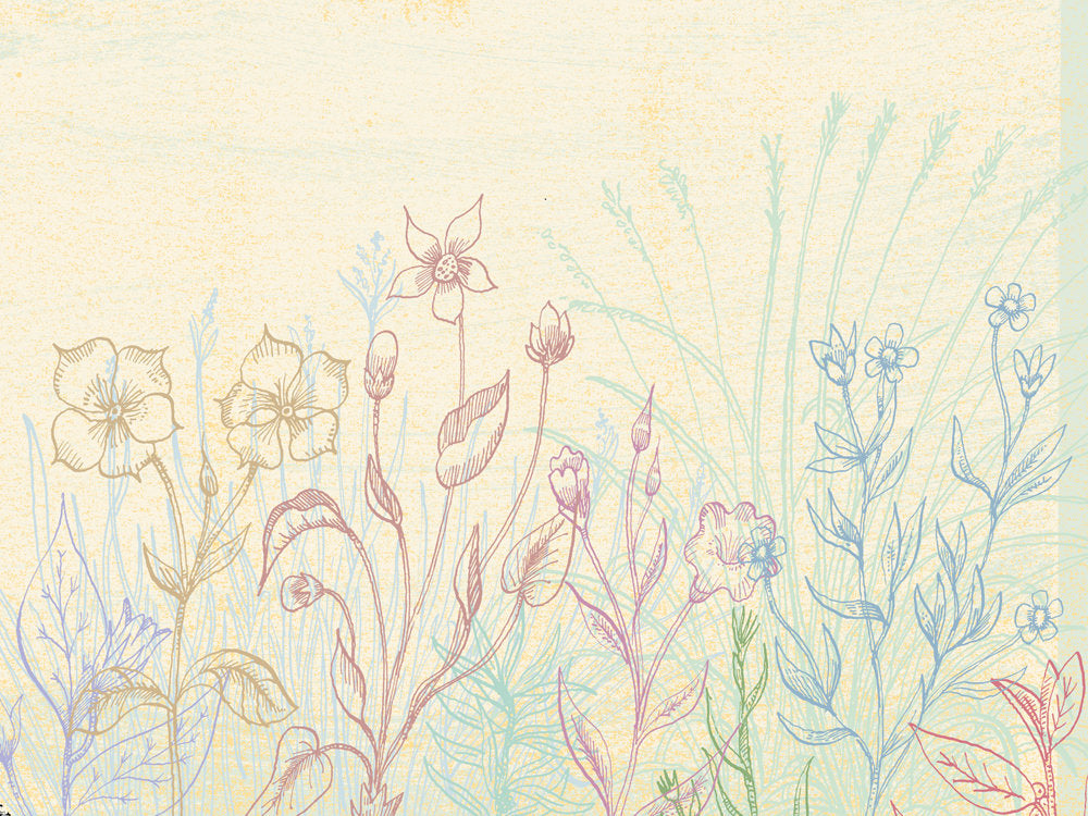 Abstract Plant Forms 10