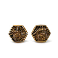 Ammonite Fossil Cufflinks