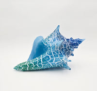 Tidal Ripple