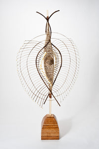 Wing and Feather