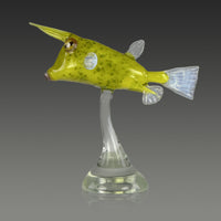 Longhorn Cowfish