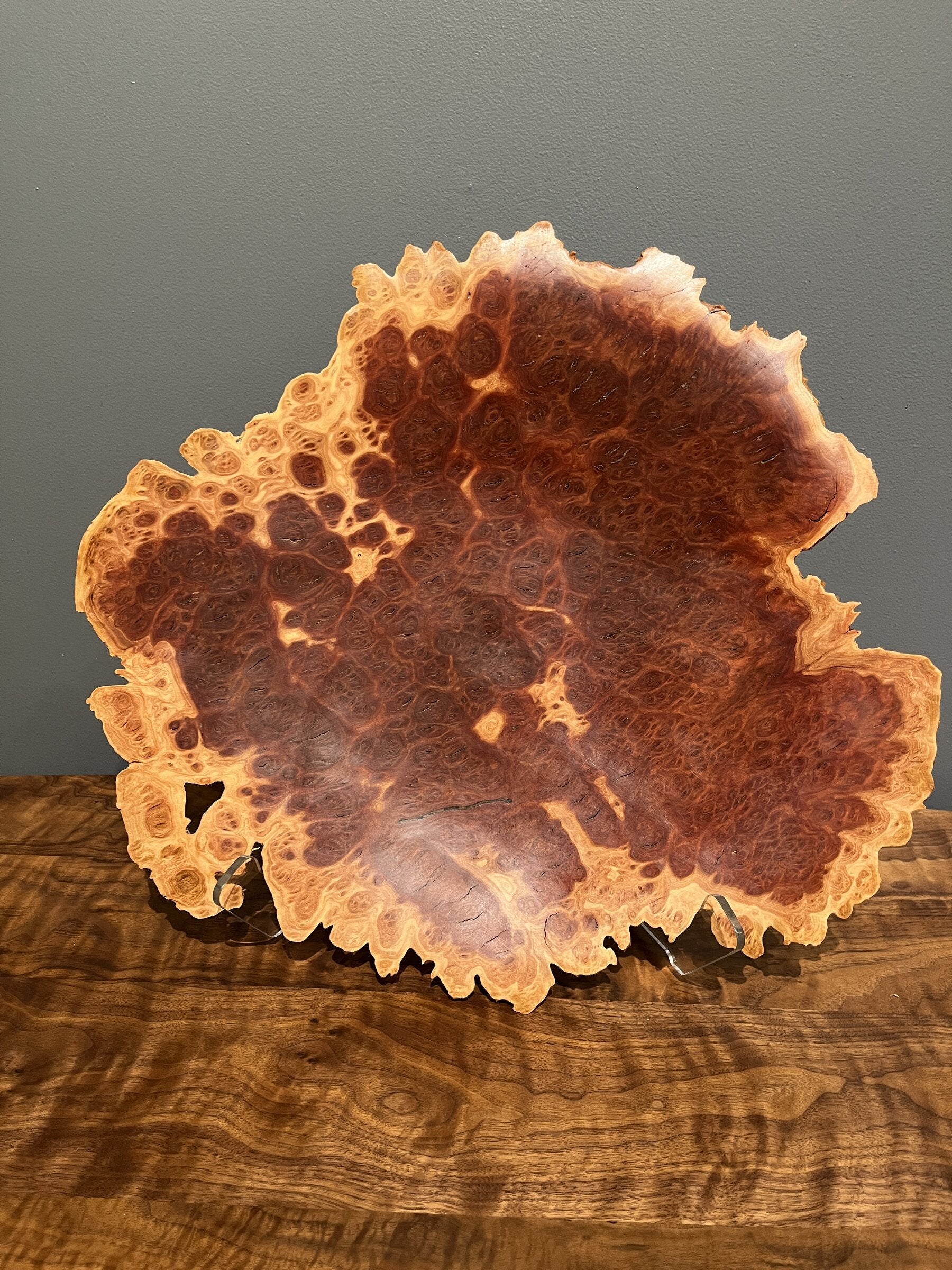 Red Mallee Eucalyptus Burl