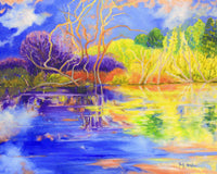 Summer Wetlands
