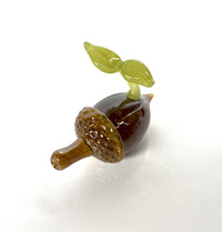 Acorn Sprout