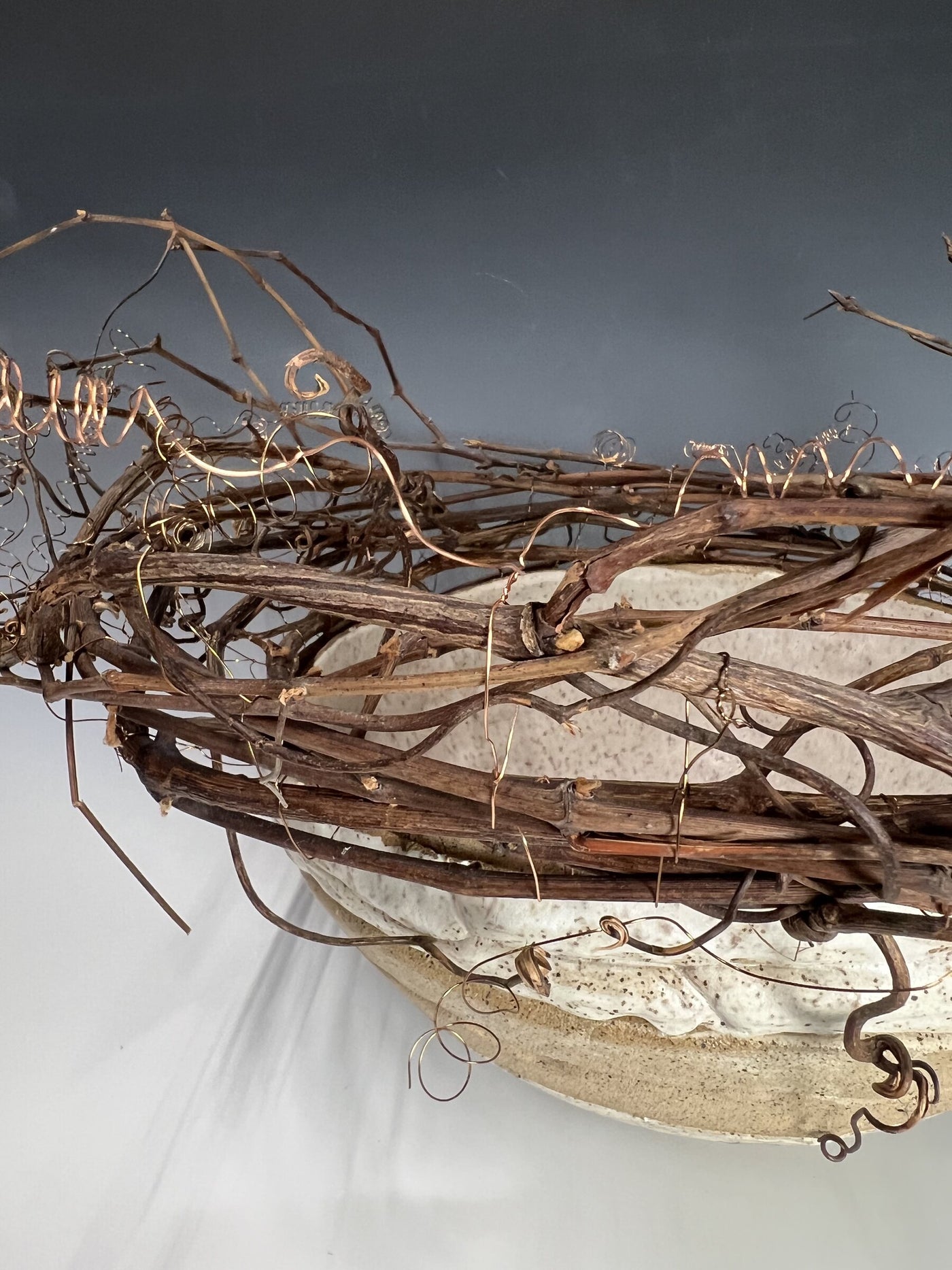 Tangled Nest