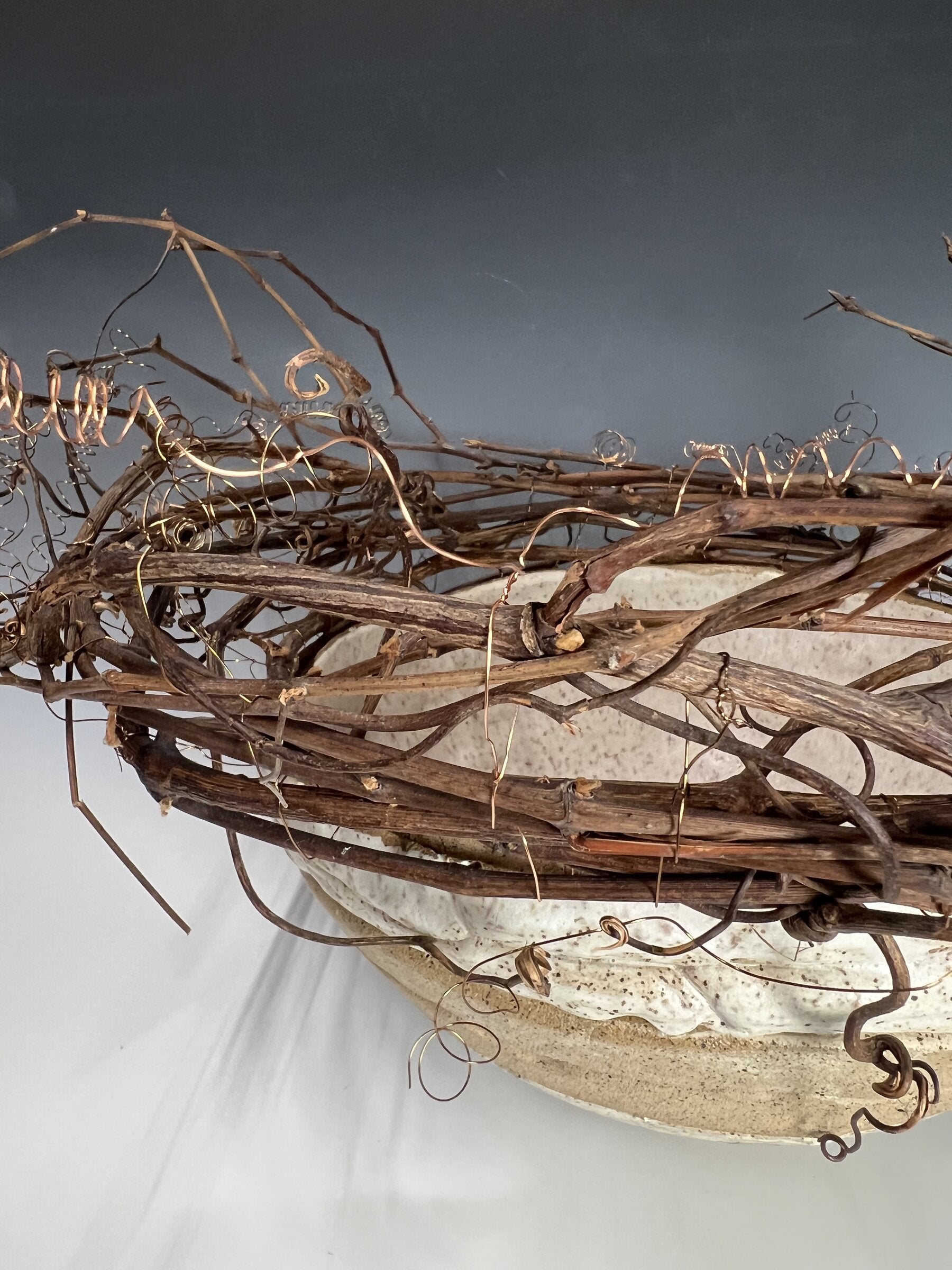 Tangled Nest