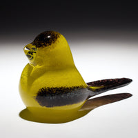 Dreamy Goldfinch