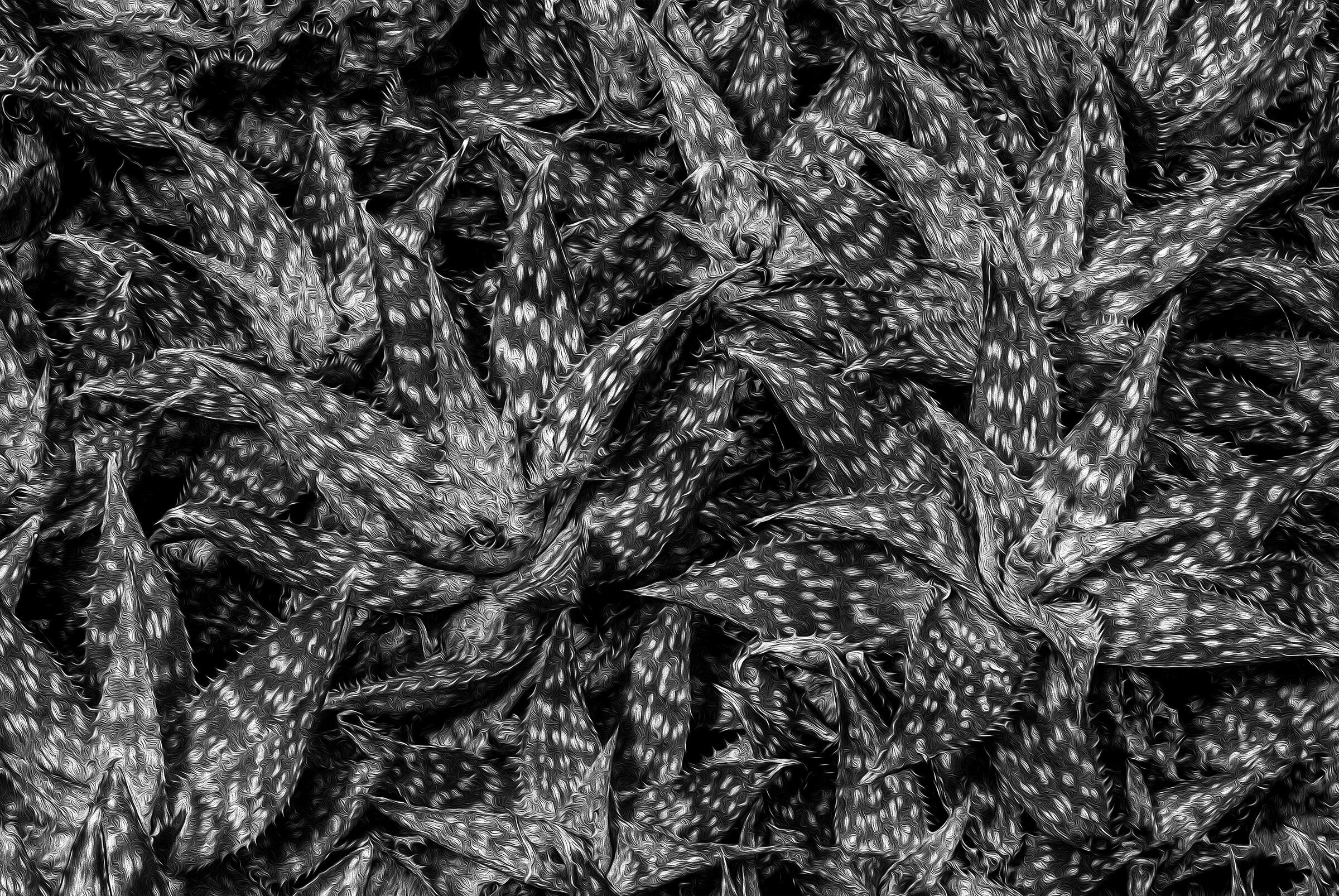 LotusLand 1