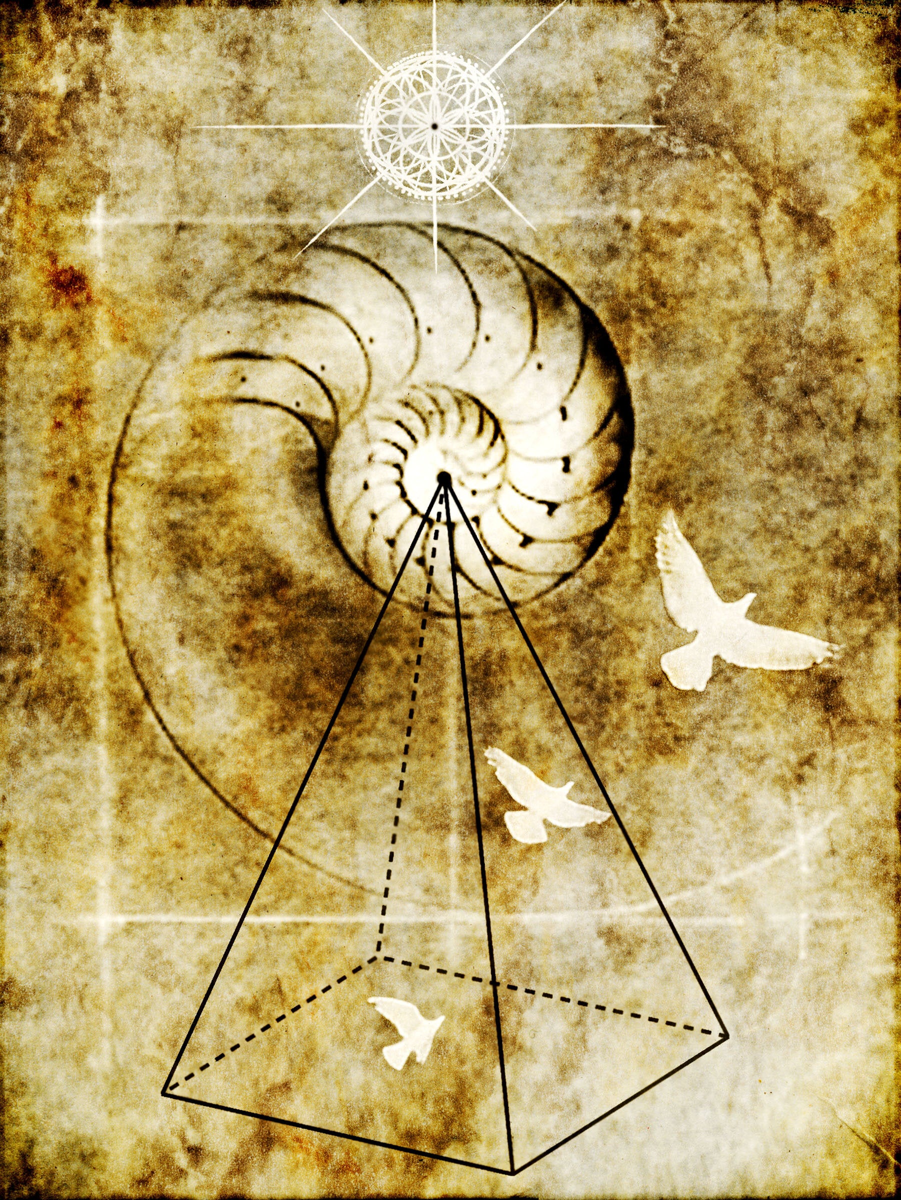Prophetic Dreams