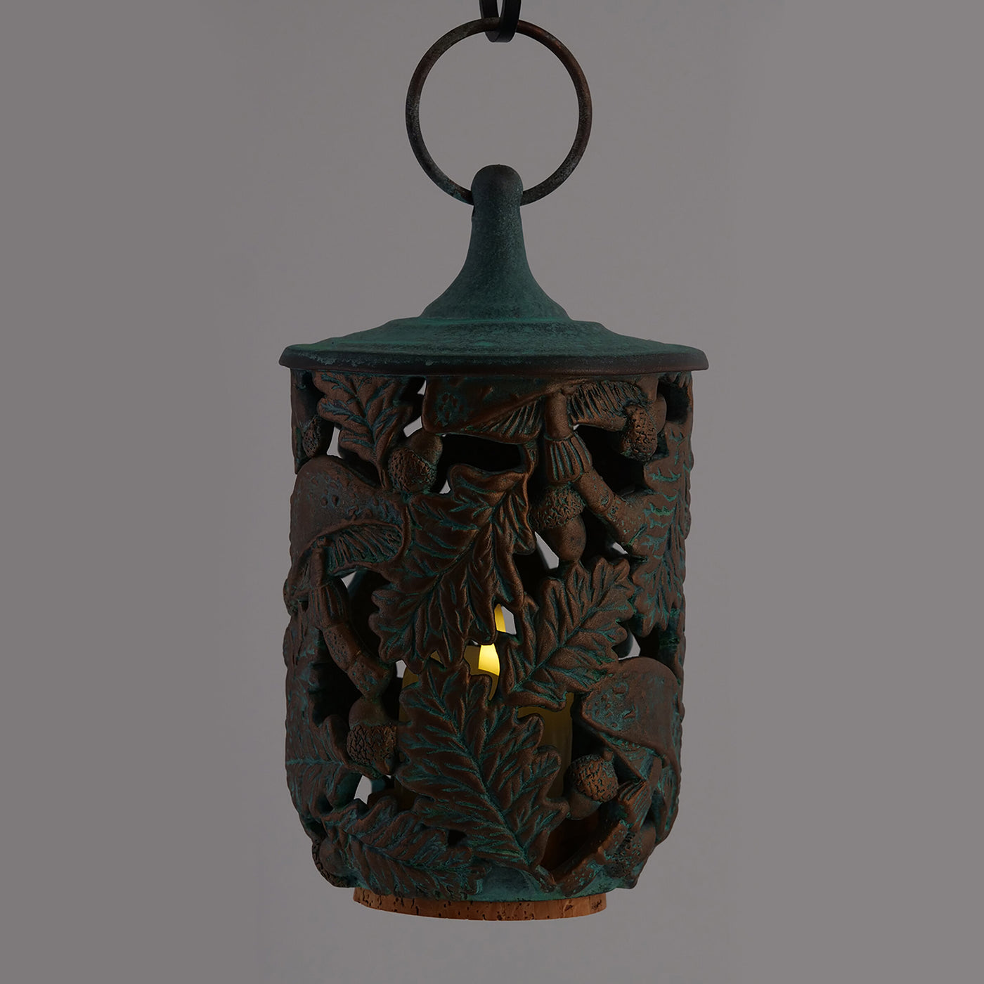 Oak and Mushroom Lantern