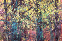 Illuminated Branches