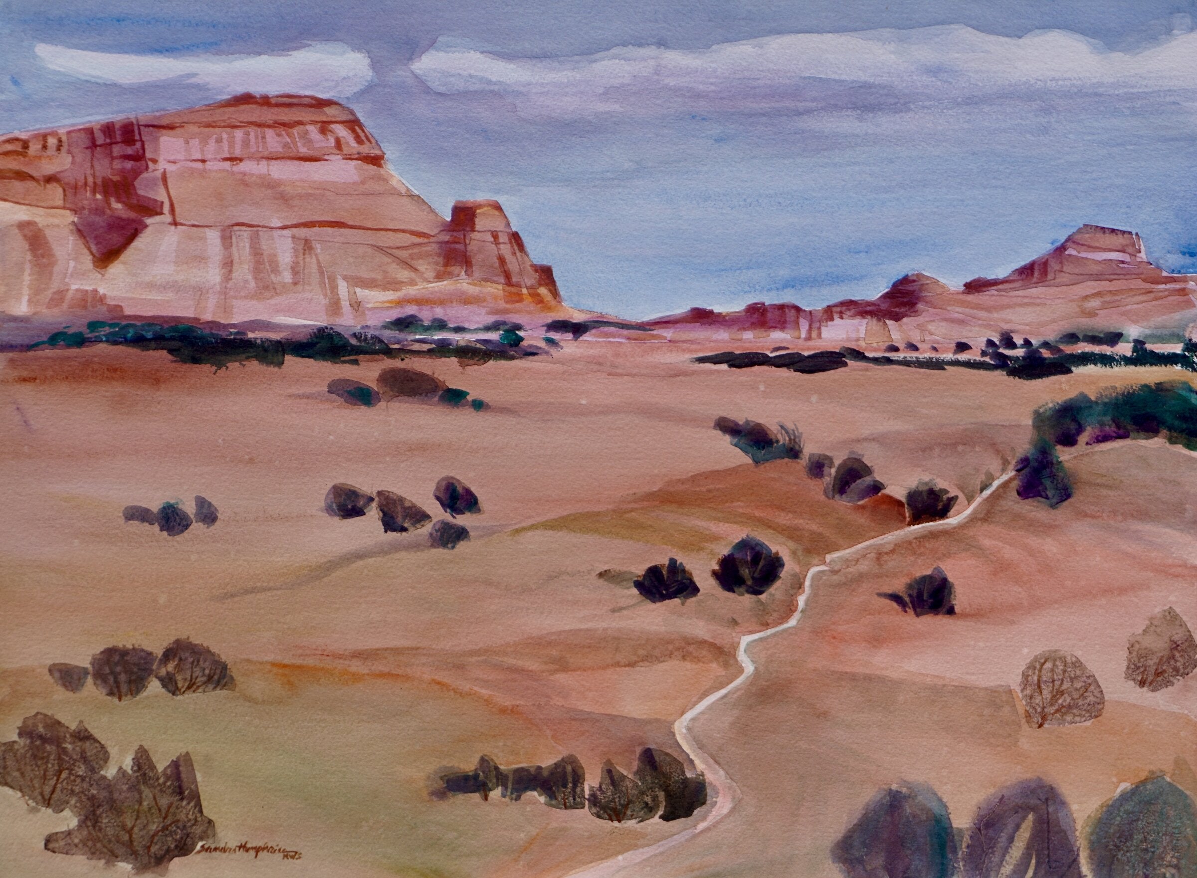 Desert Trail