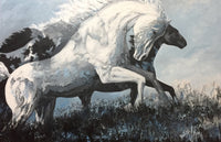 Ghost Pony Rising
