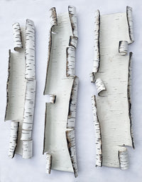 Scrolls, Interrupted