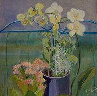 Orchid and Kalenchoe