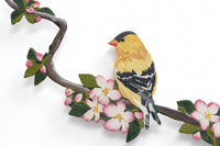 Goldfinch