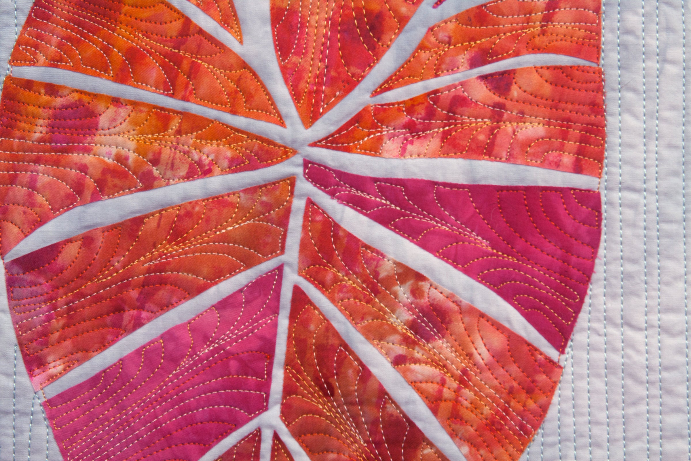 Elephant Ear 3