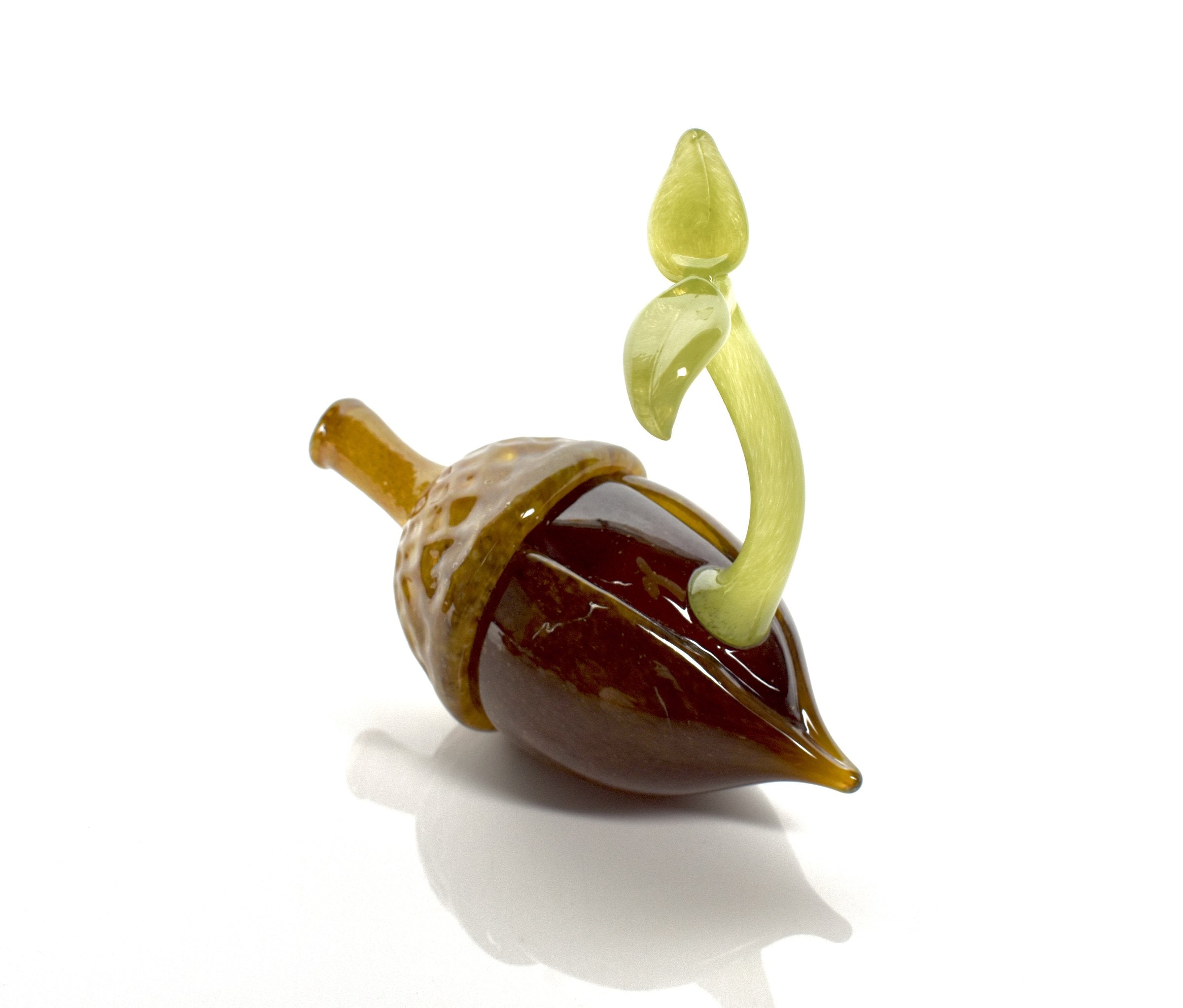 Acorn Sprout