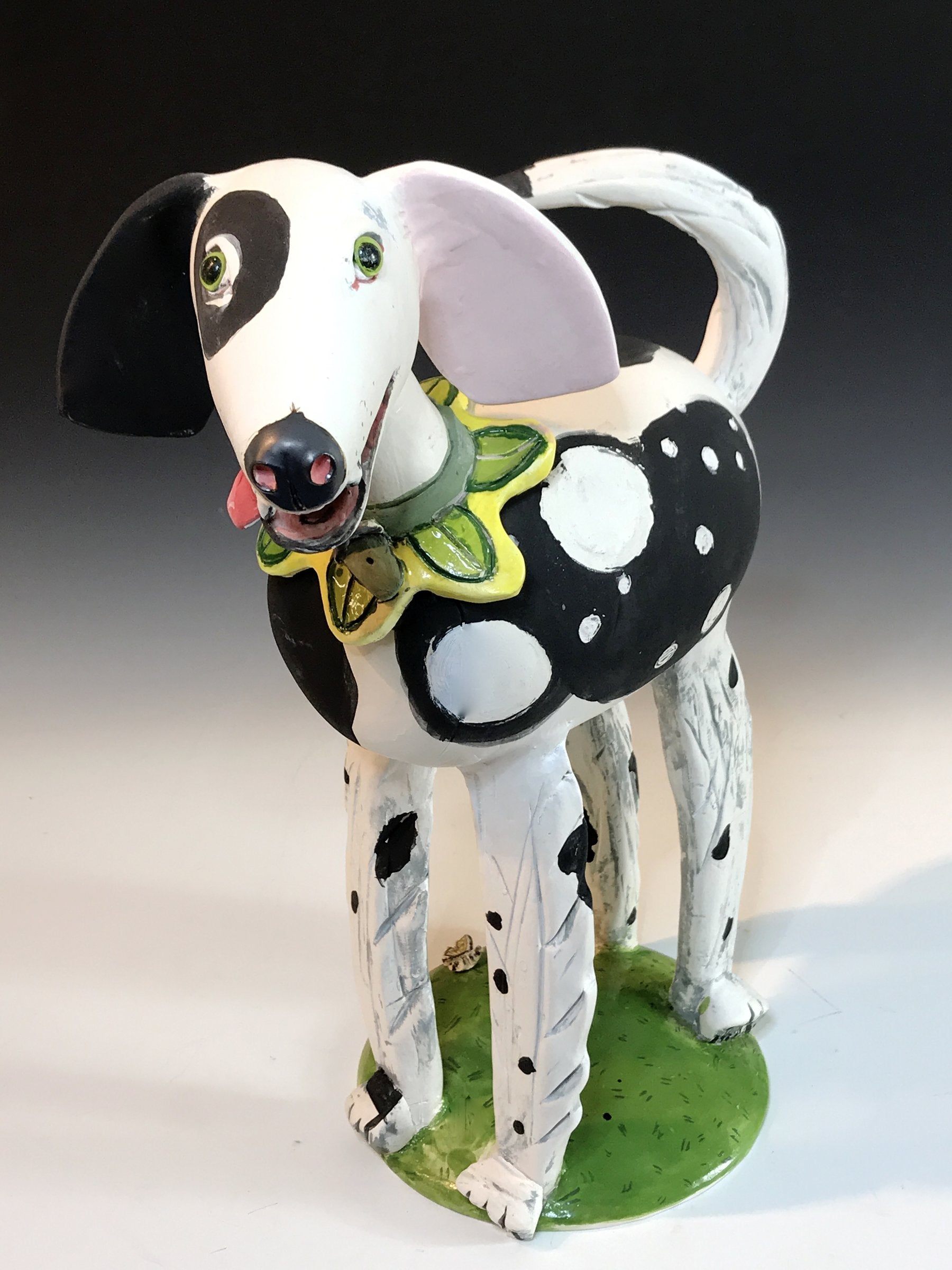 Spots on a Dog
