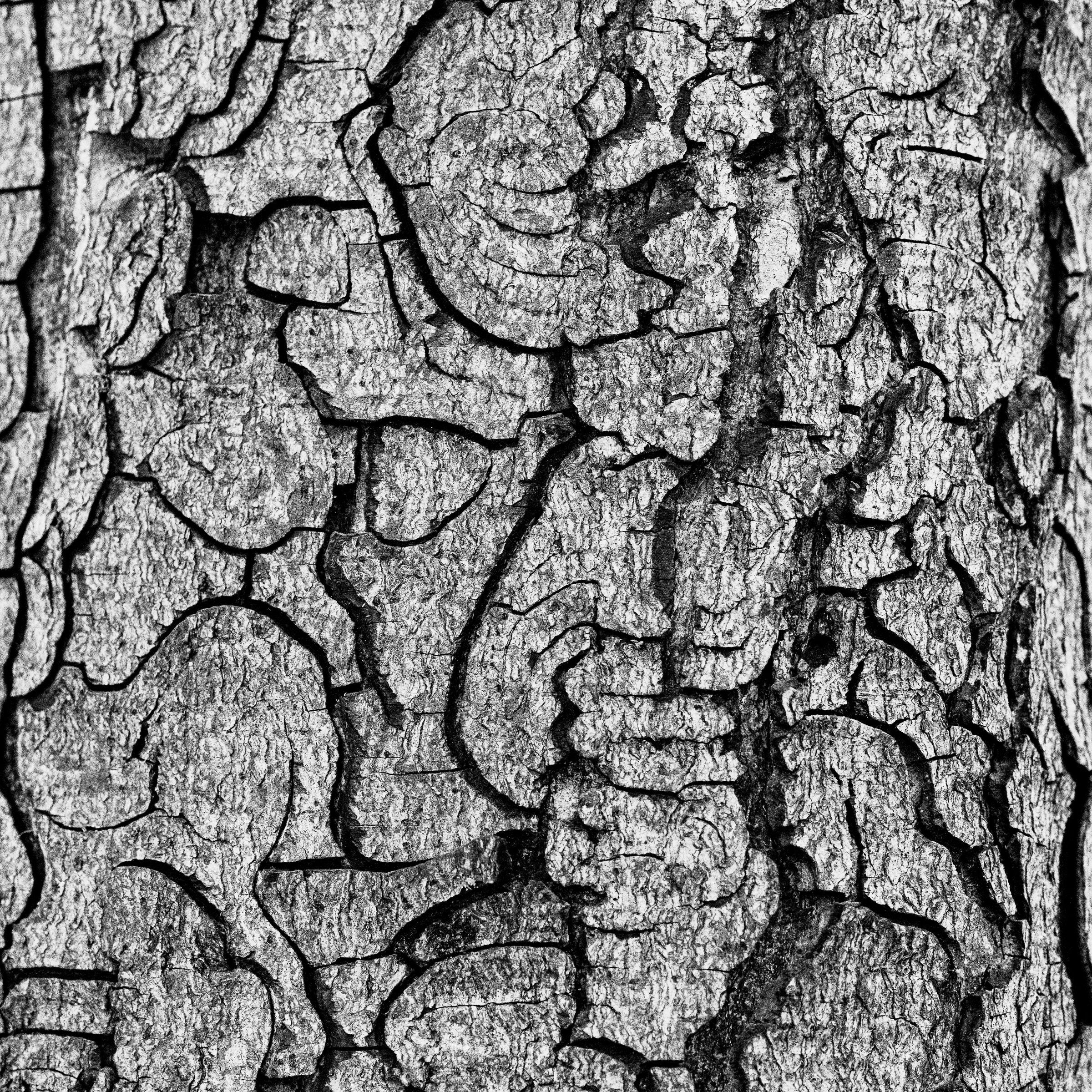 Nature's Tapestry