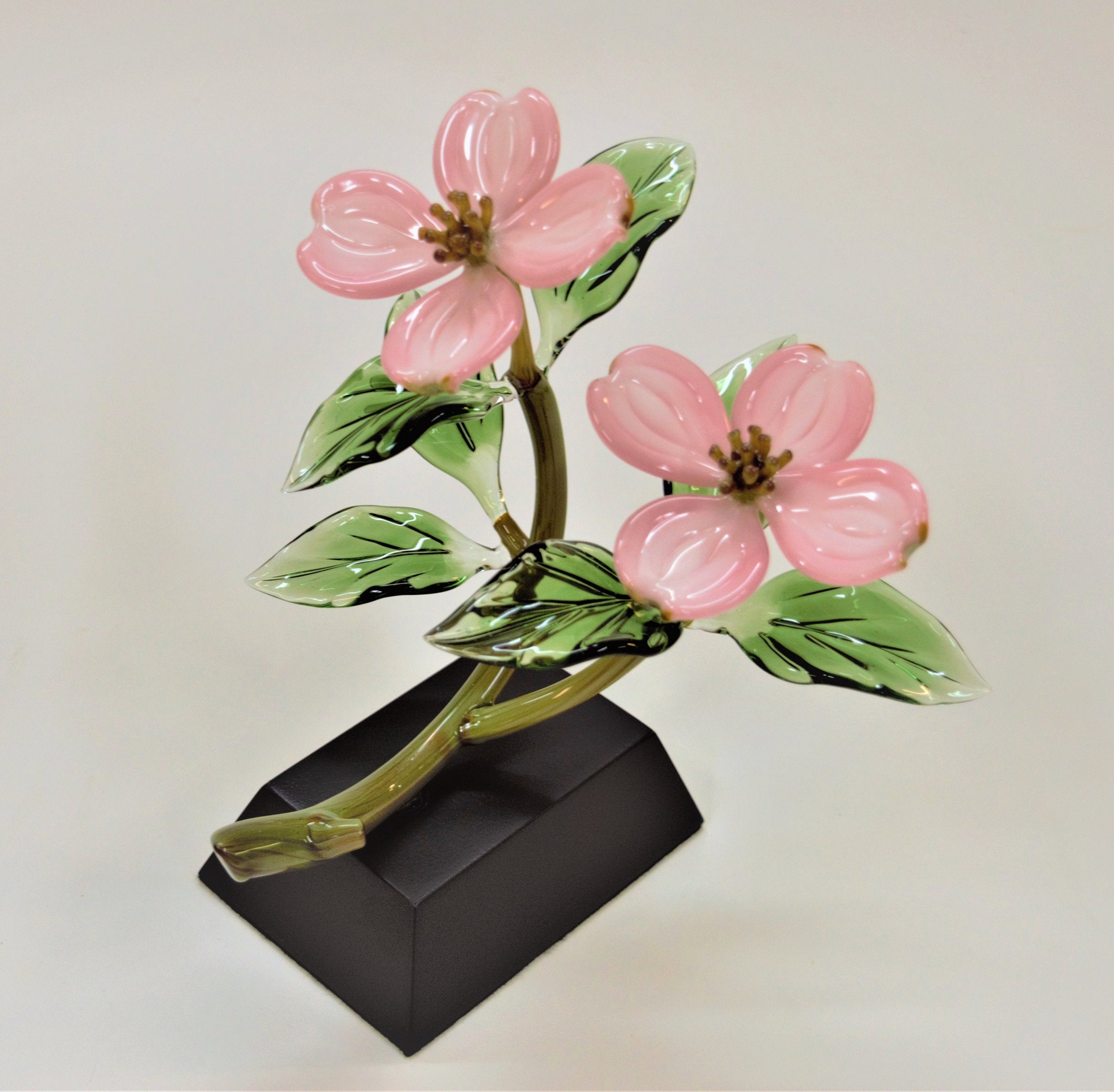 Pink Dogwood Double Blossoms II