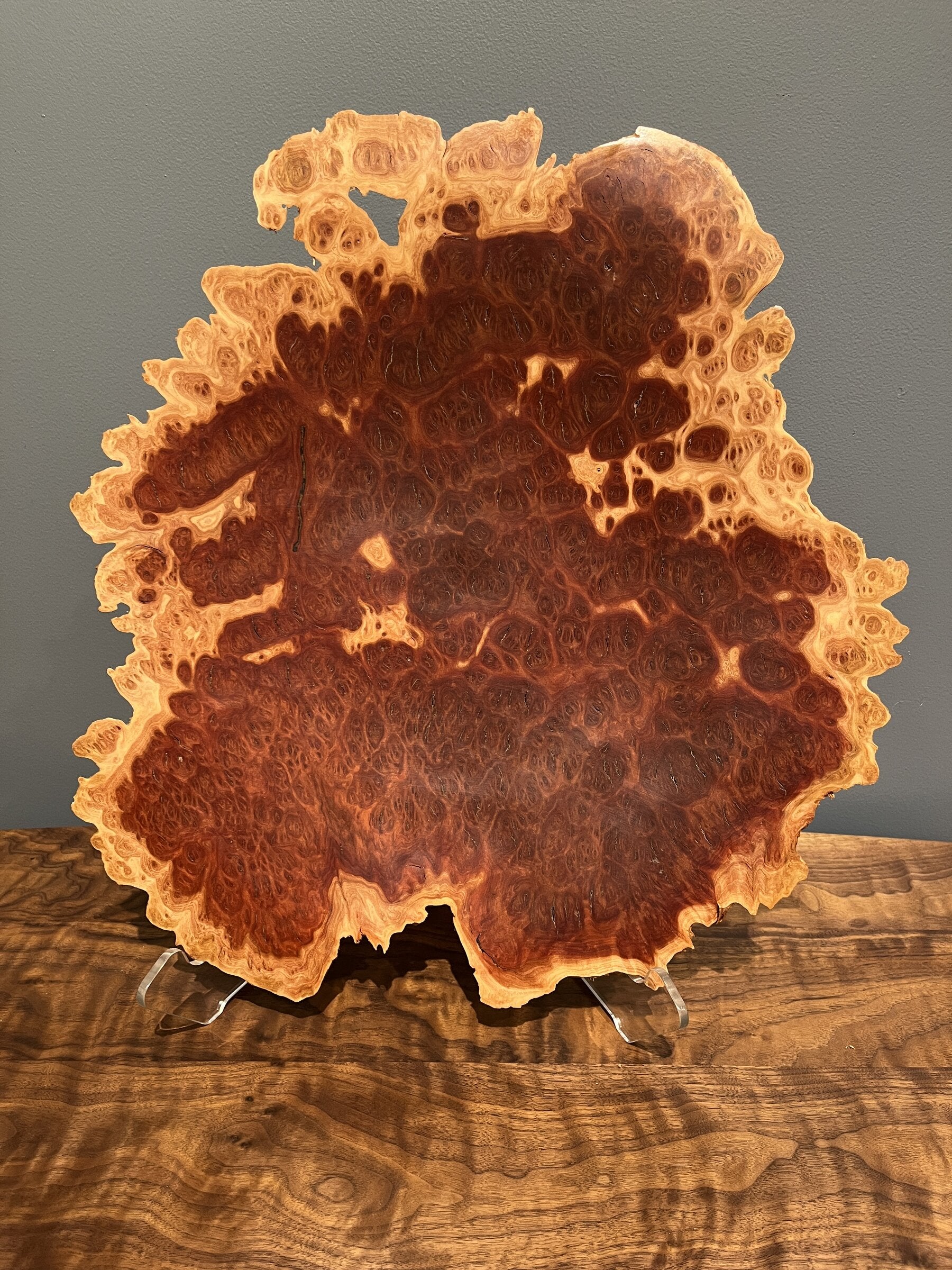 Red Mallee Eucalyptus Burl
