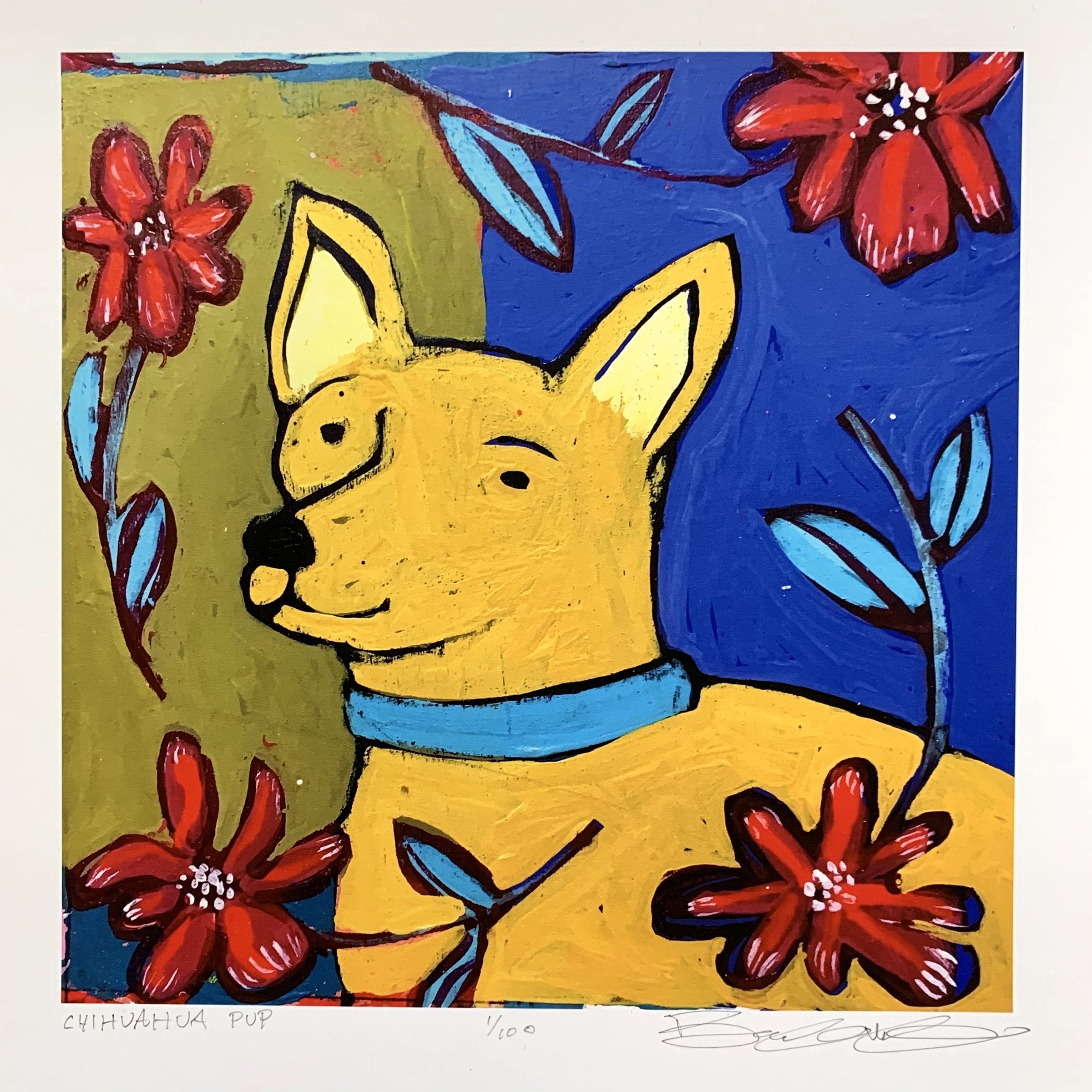 Chihuahua Pup