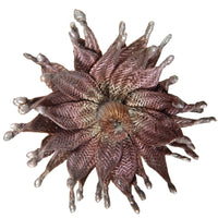 Zinnia Brooch