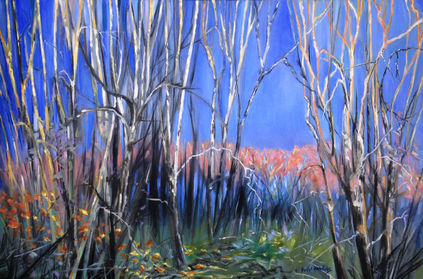 Walk in the Woods