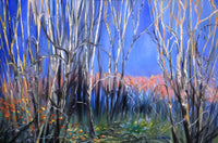 Walk in the Woods