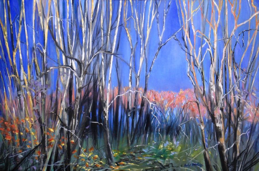Walk in the Woods