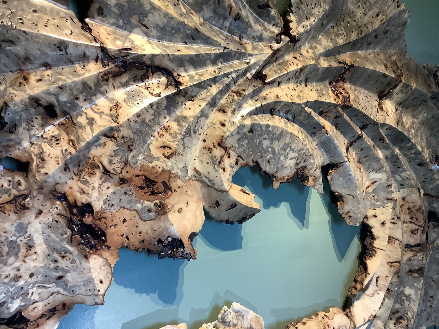 Headdress Buckeye Burl Wall Sculpture