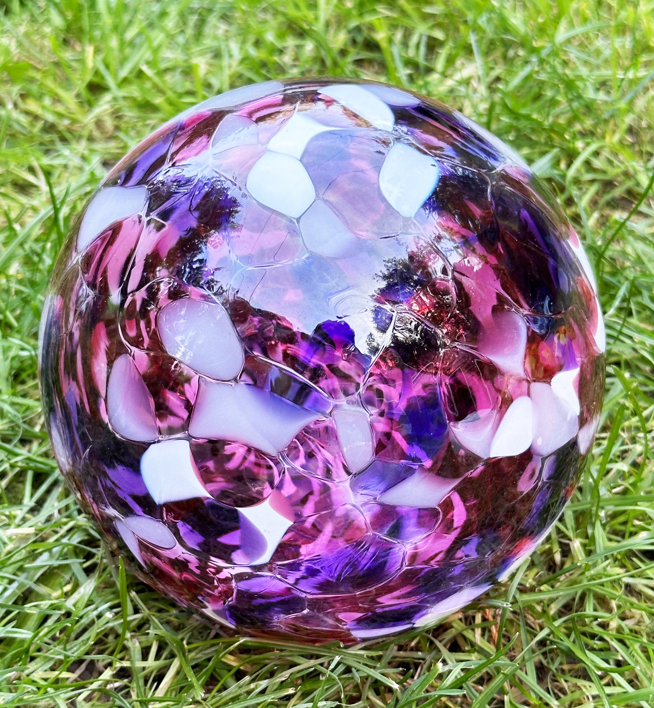 Pink/Purple