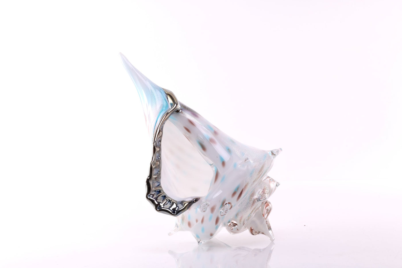 Atlantis Sea Shell