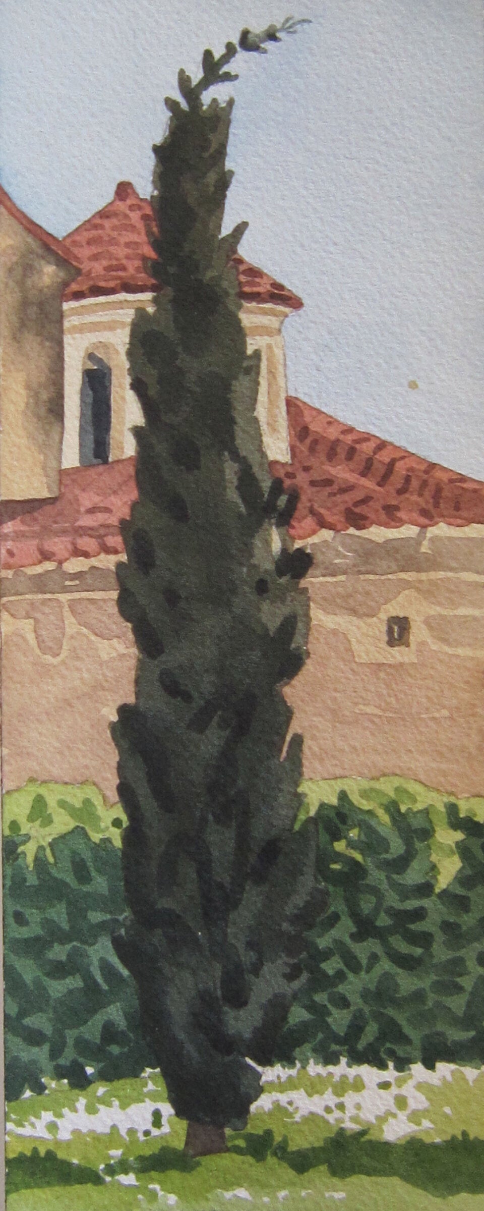 A Spanish Cypress