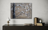White Blossom