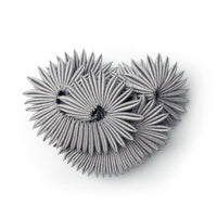 Chrysanthemum Brooch